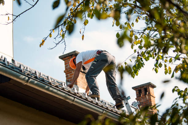Best Roof Maintenance Services  in Elkins, WV