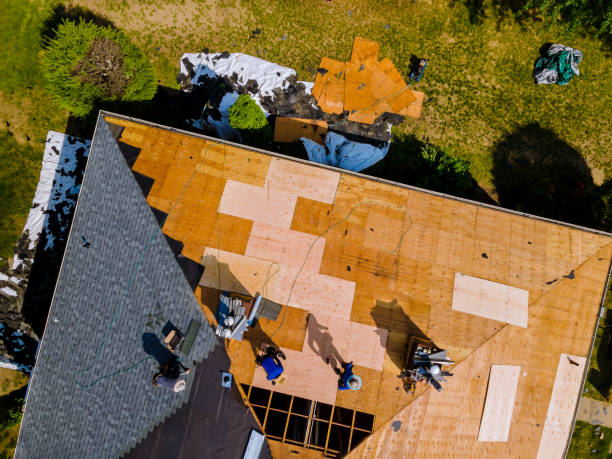 Best Commercial Roof Installation  in Elkins, WV