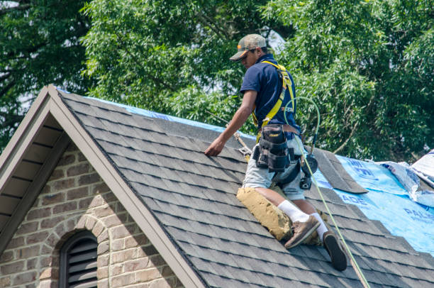 Best Roof Replacement Cost  in Elkins, WV